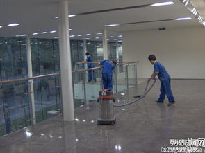 長沙保潔公司中泰家政 15年行業(yè)經(jīng)驗，專業(yè)除四害服務(wù)