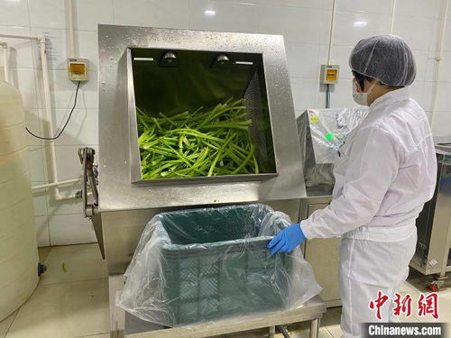 河北淶水土貨“統(tǒng)購統(tǒng)銷”進京生金，清潔服務(wù)煥新鄉(xiāng)村經(jīng)濟